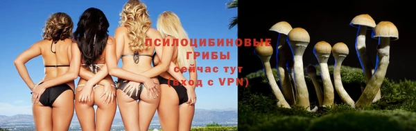 марки nbome Ельня