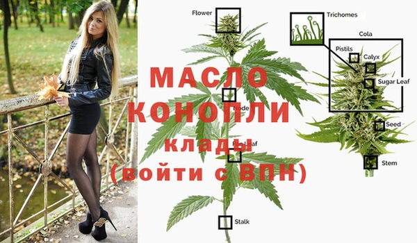 марки nbome Ельня