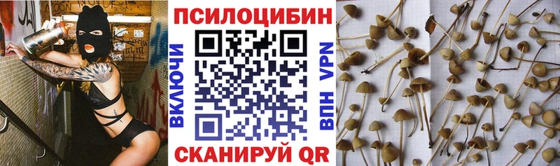 Псилоцибиновые грибы Psilocybe  дарнет шоп  KRAKEN ТОР  Себеж 